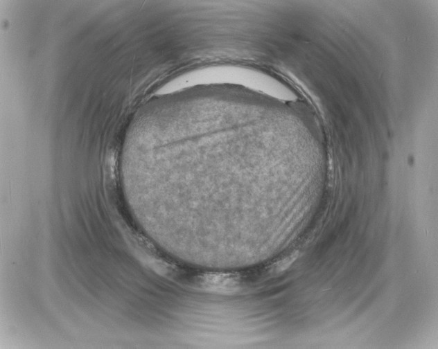 X0000085280117200704092216