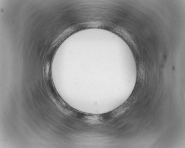 X0000085280118200704092216