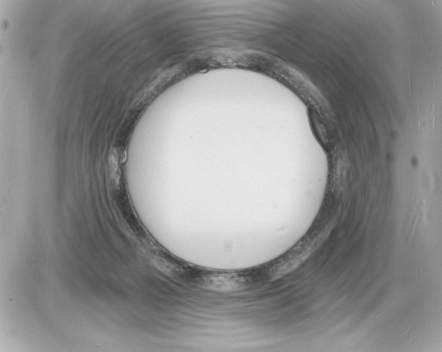 X0000085280121200704092216