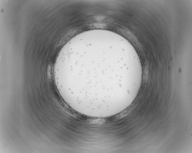 X0000085280122200704092216