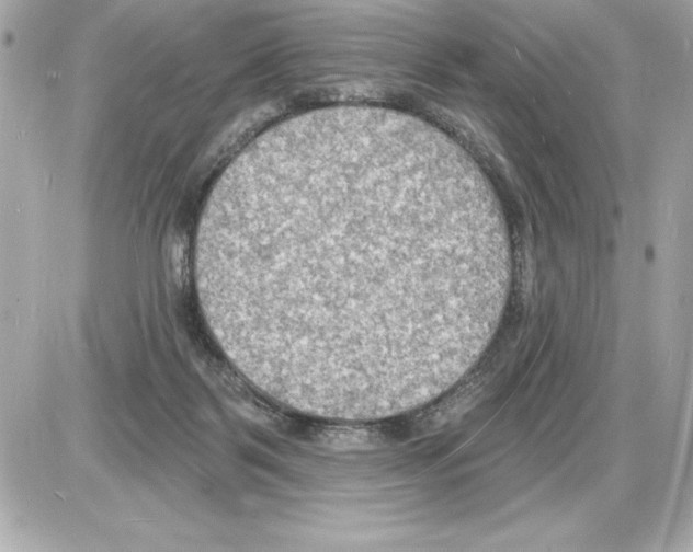 X0000085280123200704092216