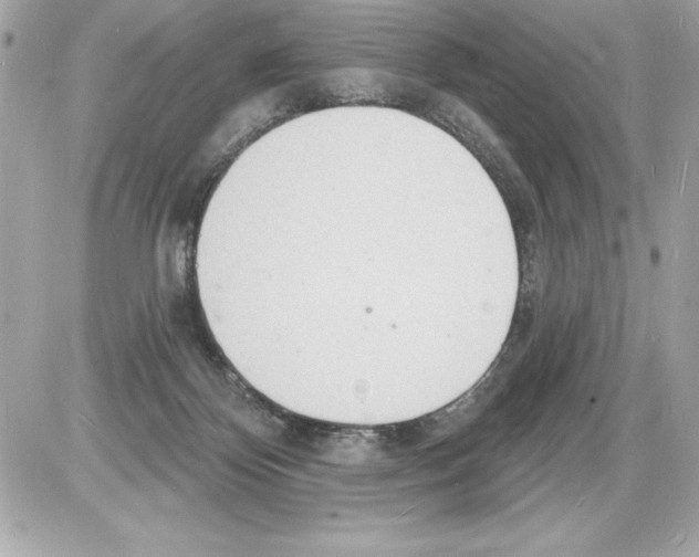 X0000085280124200704092216