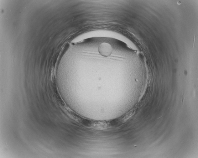 X0000085280125200704092216