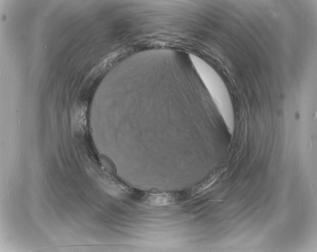 X0000085280127200704092216