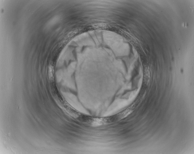 X0000085280130200704092216