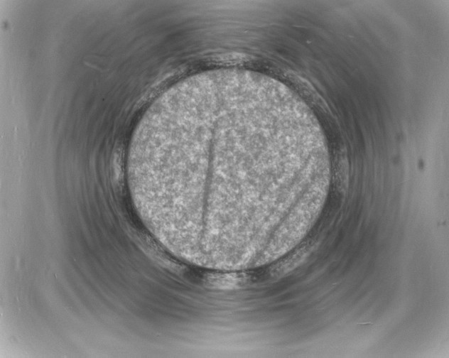 X0000085280131200704092216