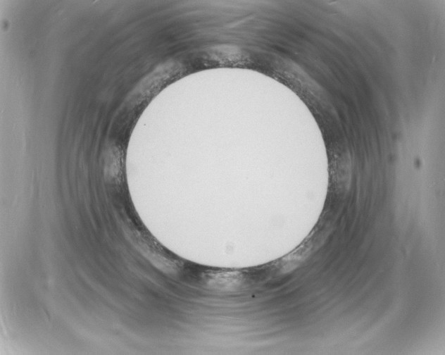 X0000085280132200704092216