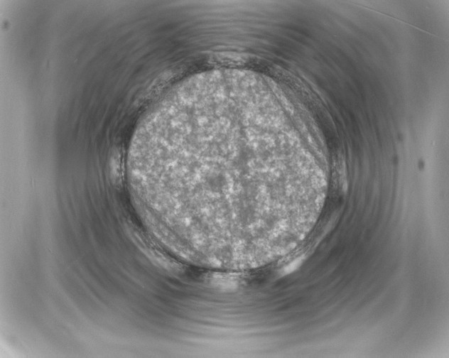 X0000085280134200704092216