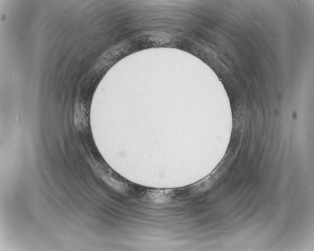 X0000085280136200704092216