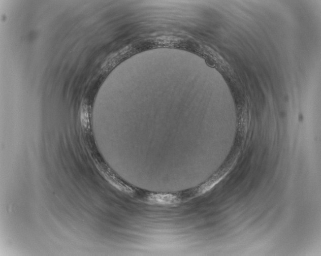 X0000085280137200704092216