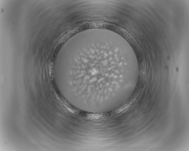 X0000085280139200704092216