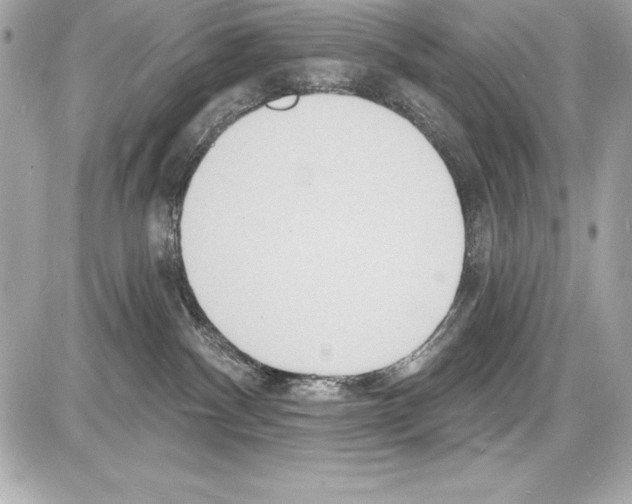 X0000085280140200704092216