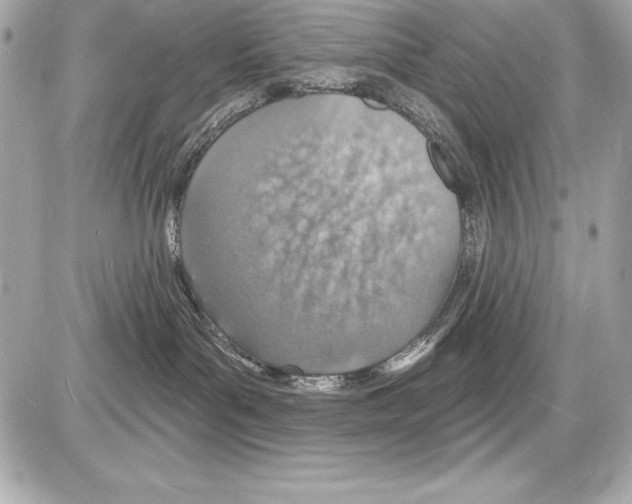 X0000085280143200704092216