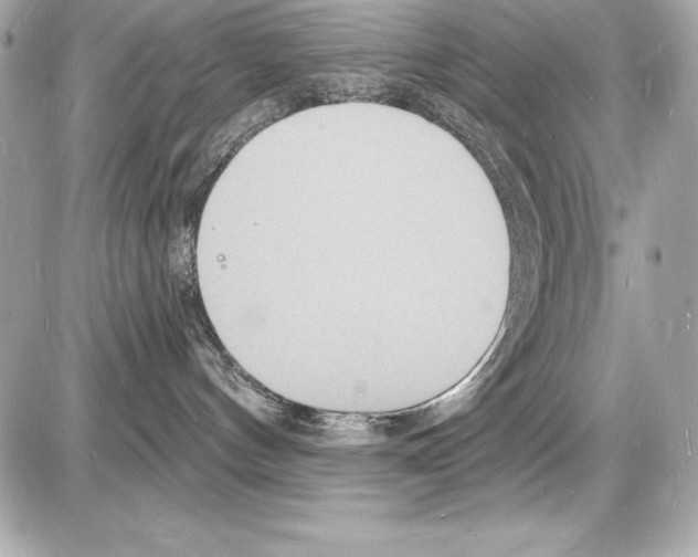 X0000085280144200704092216