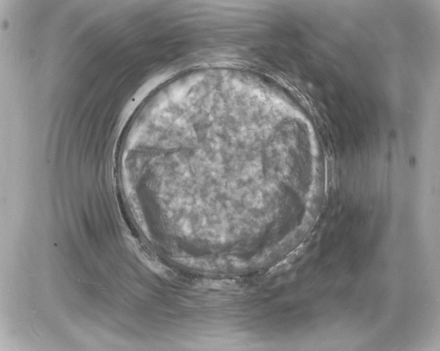 X0000085280147200704092215