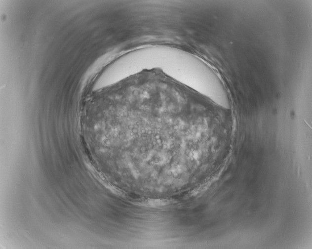 X0000085280149200704092215