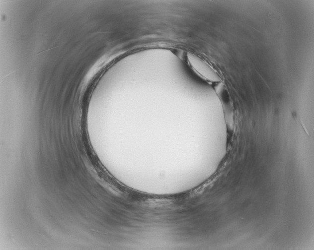 X0000085280150200704092215