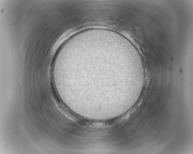 X0000085280151200704092215