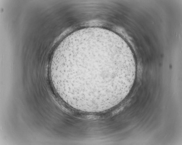 X0000085280153200704092215