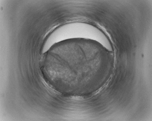 X0000085280154200704092215