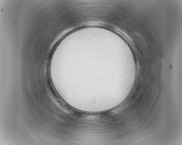 X0000085280155200704092215