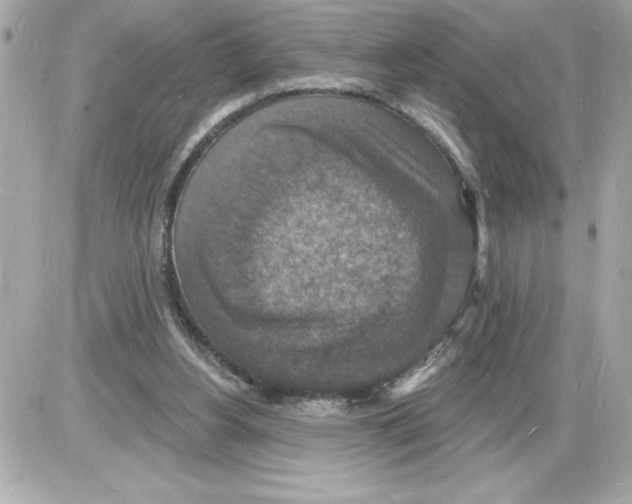 X0000085280156200704092215