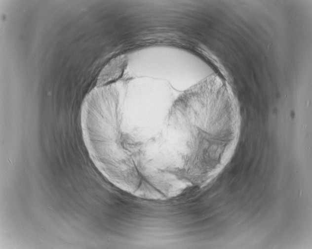 X0000085280161200704092215