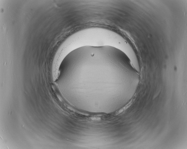 X0000085280162200704092215