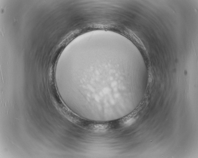 X0000085280163200704092215