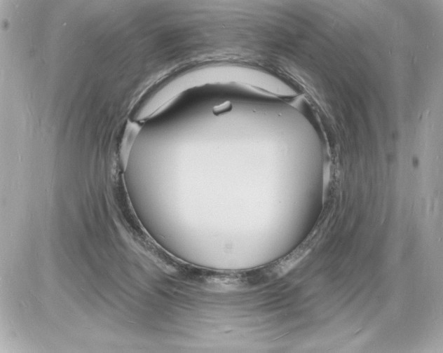 X0000085280164200704092215