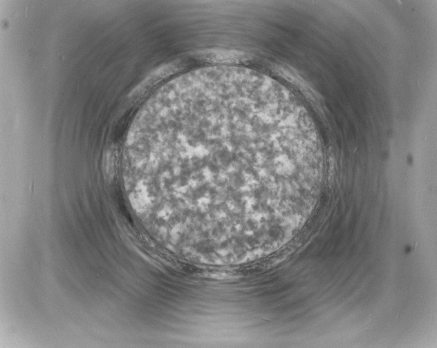 X0000085280165200704092215