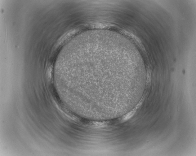 X0000085280166200704092215