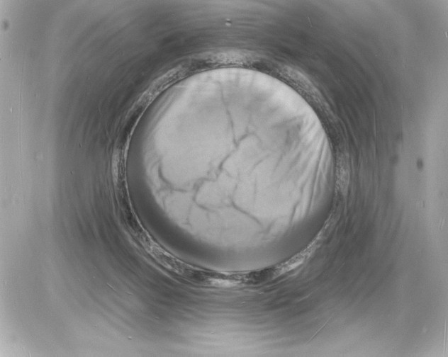 X0000085280167200704092215