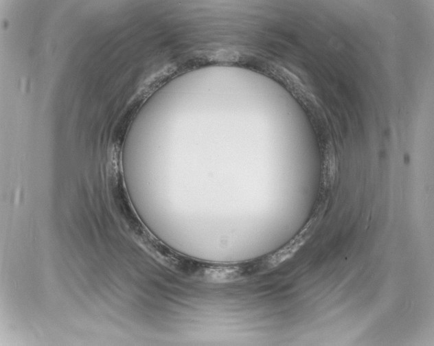 X0000085280172200704092215