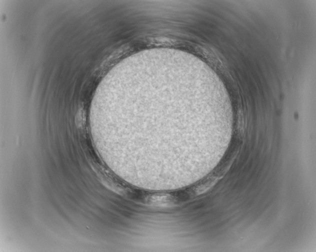 X0000085280173200704092216