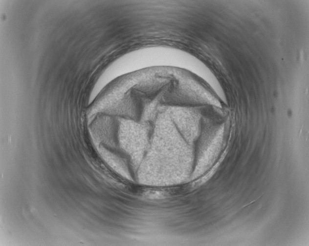 X0000085280174200704092216