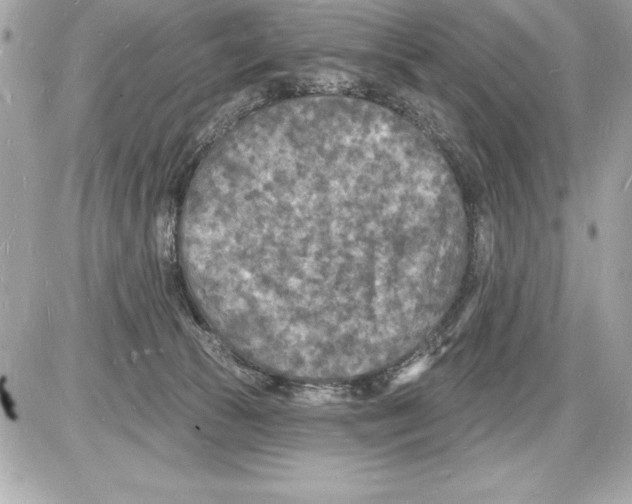 X0000085280177200704092216