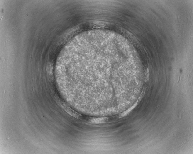 X0000085280178200704092216