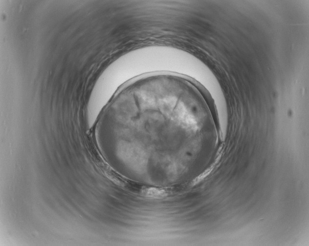 X0000085280180200704092216