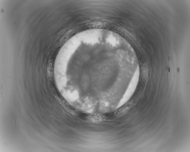 X0000085280181200704092216