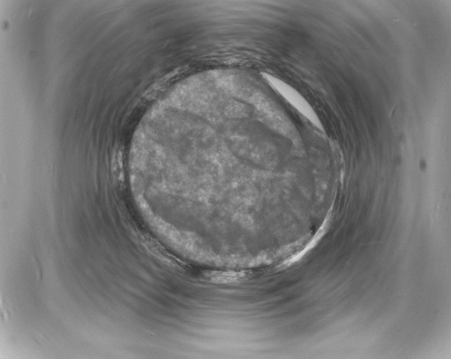 X0000085280182200704092216