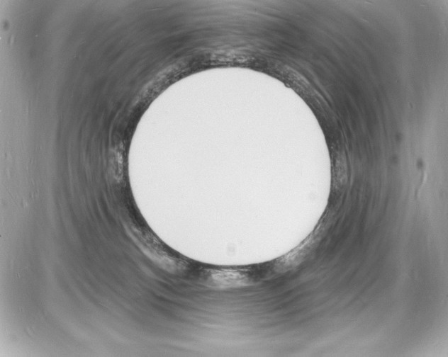 X0000085280183200704092216