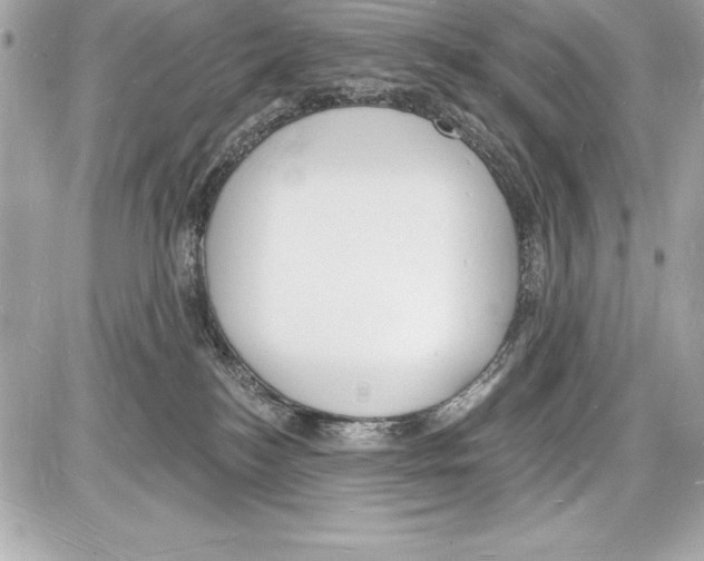 X0000085280184200704092216