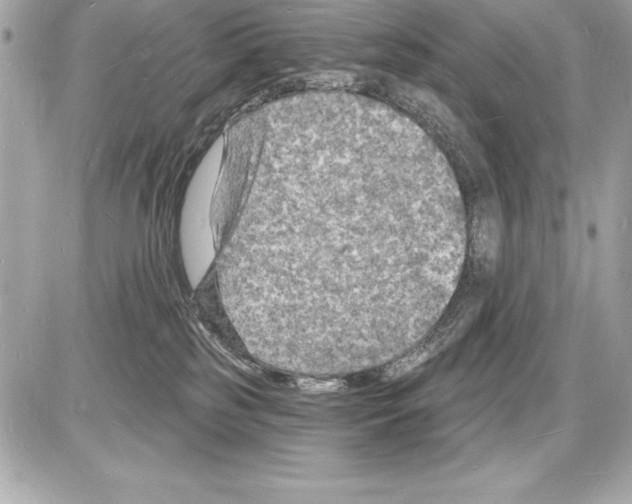 X0000085280185200704092216