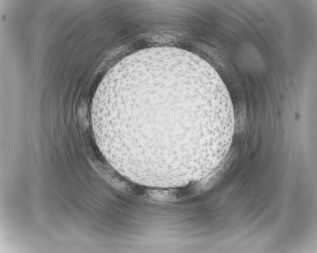 X0000085280187200704092216