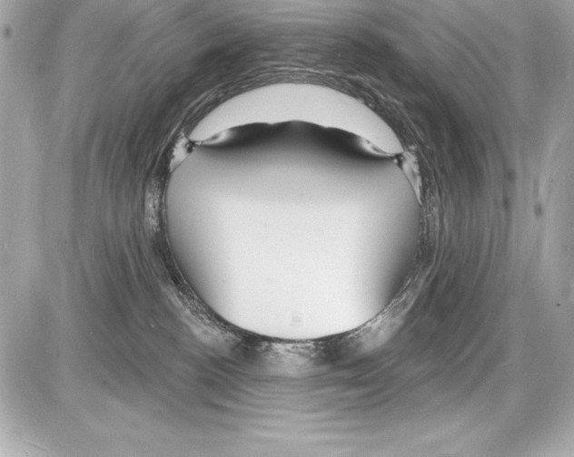 X0000085280188200704092216