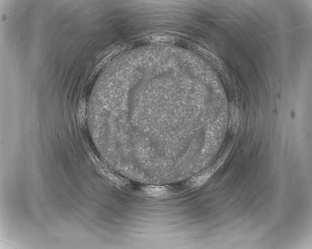 X0000085280189200704092216