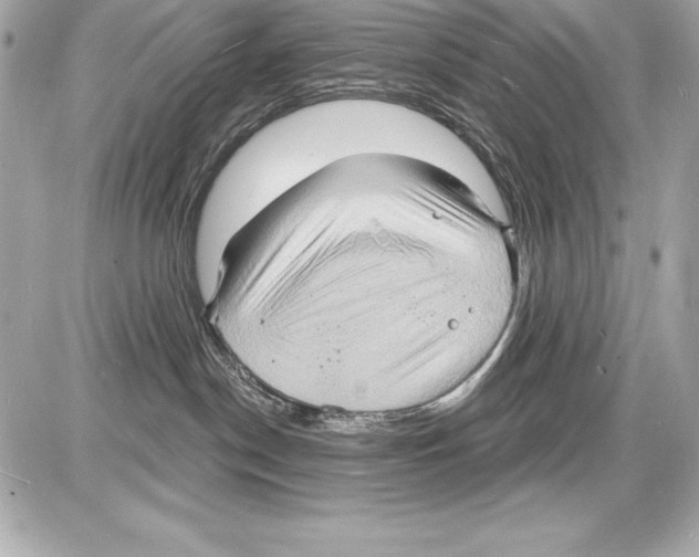 X0000085280190200704092216