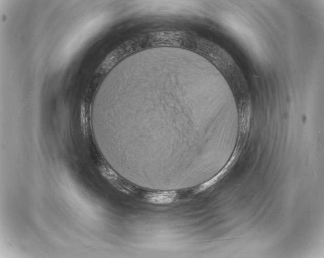 X0000085280191200704092216