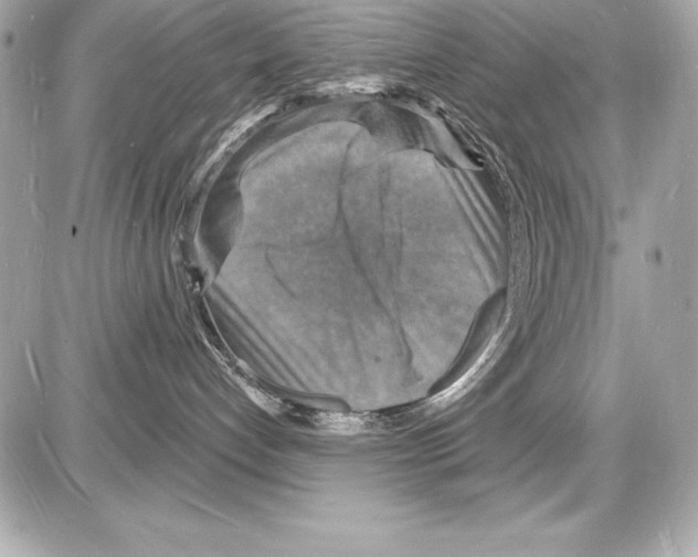 X0000085280192200704092216